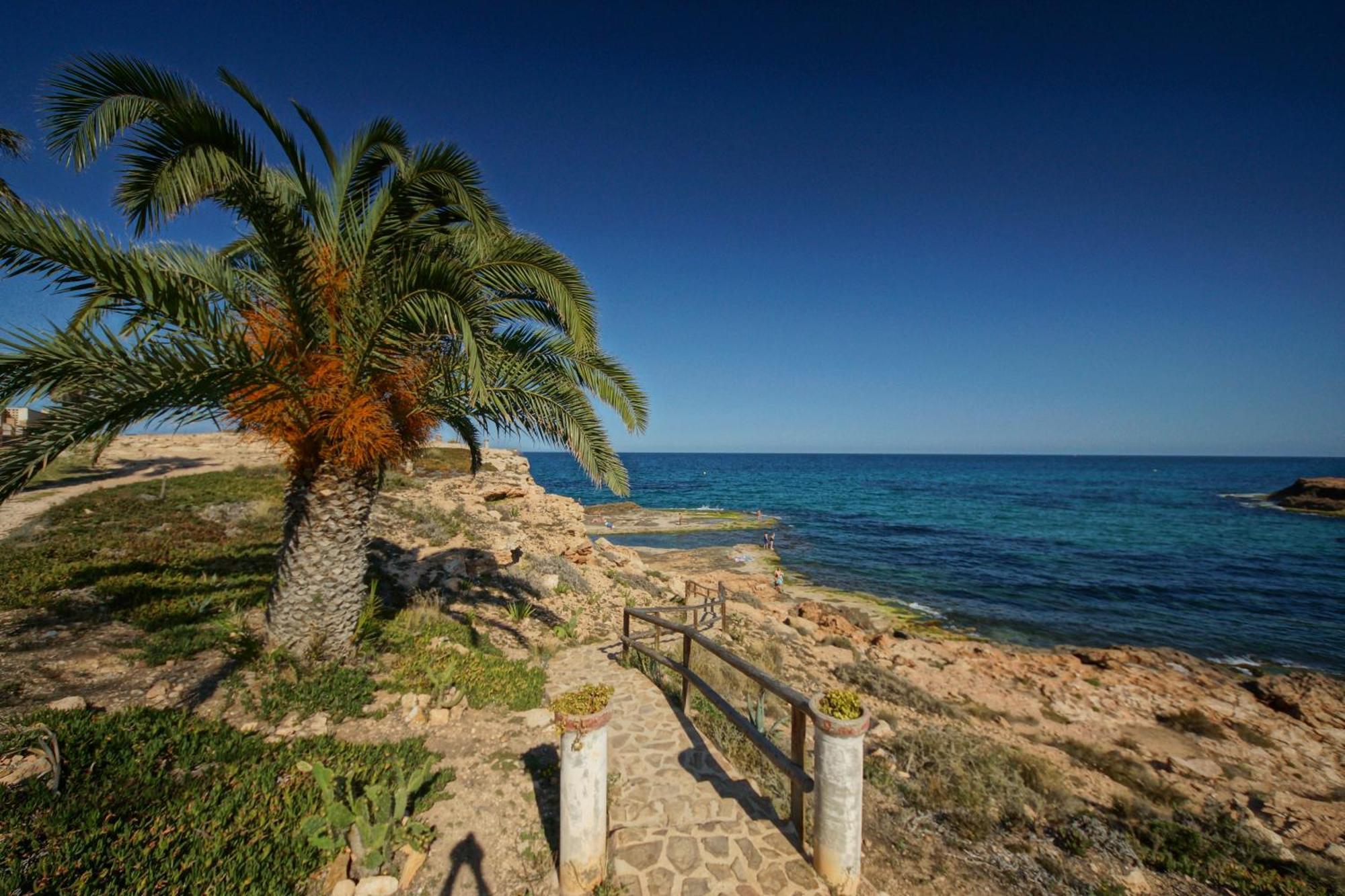 House Of The Dream Villa Torrevieja Eksteriør bilde